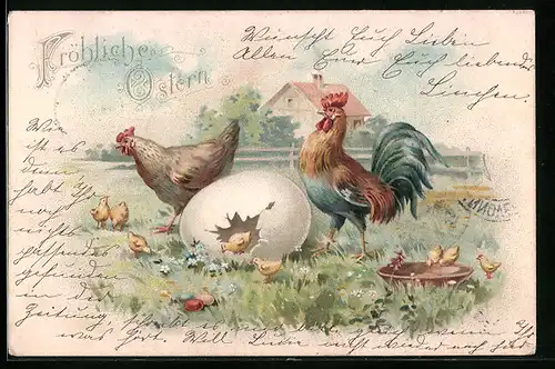 AK Osterküken schlüpfen aus dem Ei