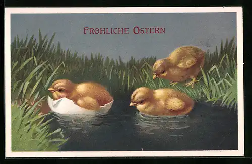 AK Fröhliche Ostern, Schwimmende Osterküken