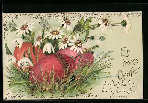 AK Ostergruss mit Eiern und Margeriten