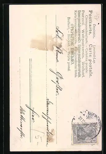 AK Jahreszahl 1905, Mohnblumen