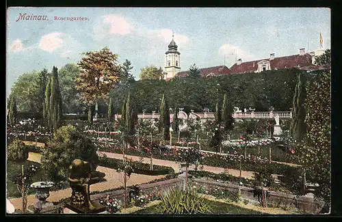AK Mainau, Partie im Rosengarten