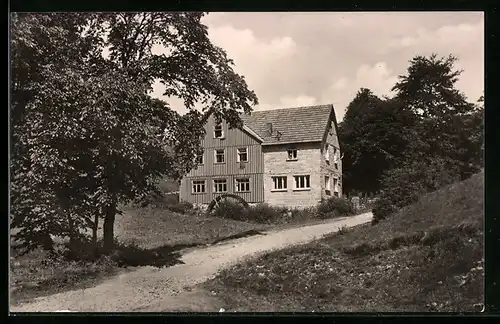 AK Frauenwald /Thür., Weg an der Fraubachmühle