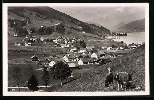 AK Bühl a. Alpsee, Weidende Kühe oberhalb der Ortschaft