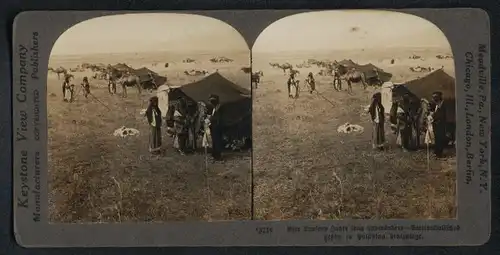 Stereo-Fotografie Keystone View Co., Meadville / PA., Palästinenser vor ihren Zelten, Kamele, Patriarchalisches Leben