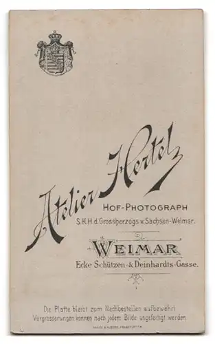 Fotografie Friedrich Hertel, Weimar, Deinhardtsgasse 22, Eleganter junger Mann mit Oberlippenbart und heller Krawatte