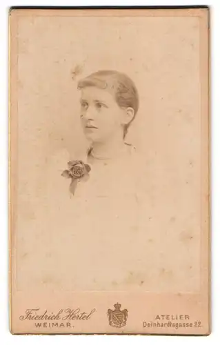 Fotografie Friedrich Hertel, Weimar, Deinhardtsgasse 22, Junges Mädchen mit Ansteckrose und Stirnlocken