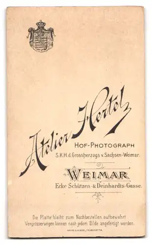 Fotografie Atelier Hertel, Weimar, Deinhardtsgasse 22, Blonde junge Dame im eleganten Kleid mit Puffärmeln