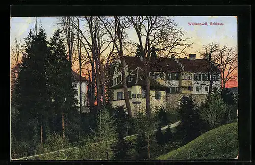 AK Wädenswil, Partie am Schloss