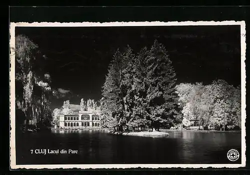 AK Cluj, Lacul din Parc