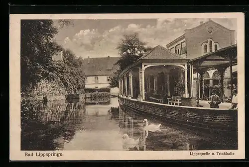 AK Bad Lippspringe, Lippequelle und Trinkhalle