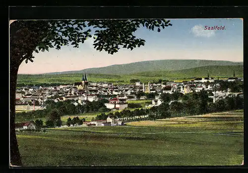 AK Saalfeld, Ortspanorama mit Fernblick