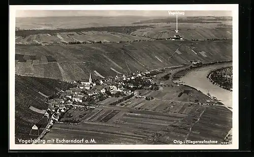 AK Escherndorf a. M., Ortsansicht mit Vogelsburg, Fliegeraufnahme