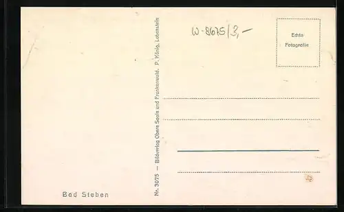 AK Bad Steben, Ortsansicht mit Horizont
