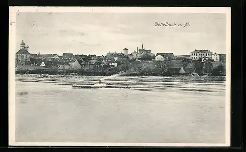 AK Dettelbach a. M., Panorama mit Dampfer