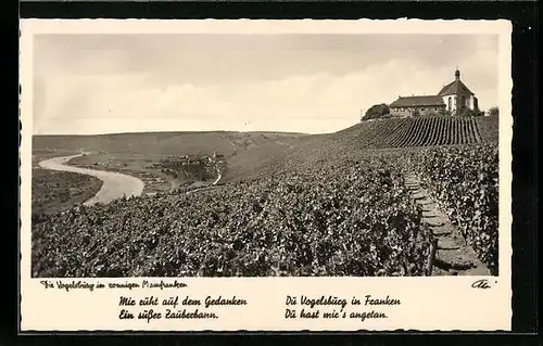 AK Escherndorf, Gaststätte Vogelsburg mit Ortsblick und Mainschleife