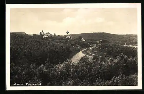 AK Puschendorf, Panorama