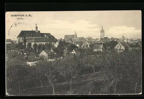 AK Wimpfen a. B., Totalansicht