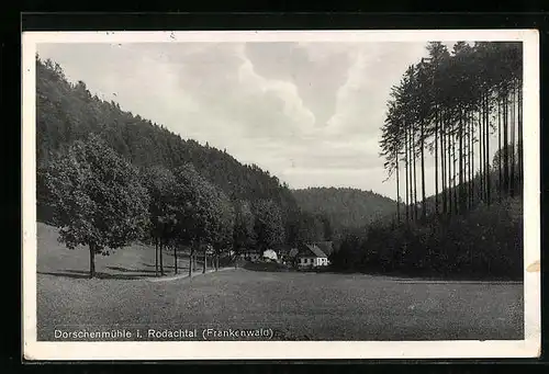AK Schwarzenbach a. Wald, Dorschenmühle i. Rodachtal
