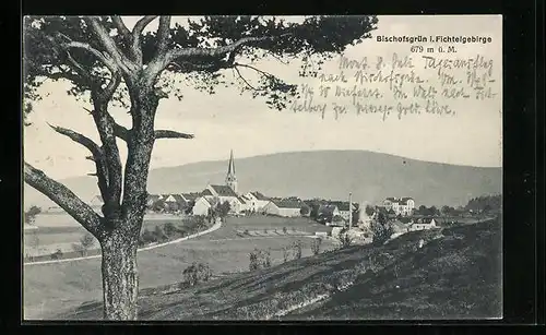 AK Bischofsgrün i. Fichtelgebirge, Teilansicht mit Baum