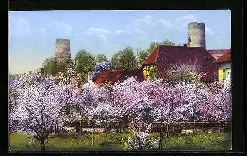 AK Kohren-Sahlis, Baumblüte im Frühjahr