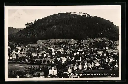 AK Calmbach i. Schwarzwald, Ortsansicht aus der Vogelschau