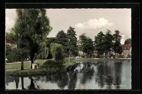 AK Selb /Ofr., Blick über den Stadtteich