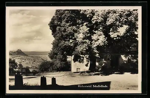 AK Hohentwiel, Blick auf Scheffellinde