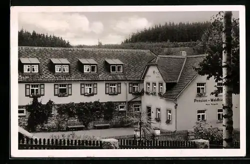 AK Birken /Frankenwald, Pension Waldfrieden, Bes. Hans Helgerth