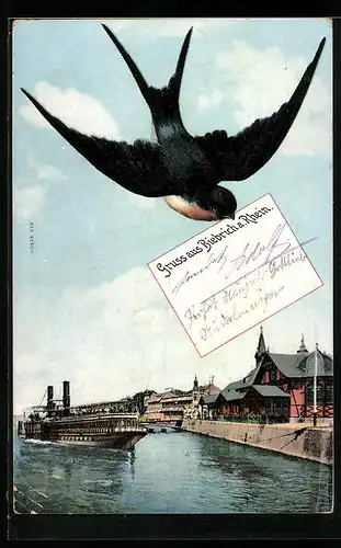 AK Biebrich a. Rhein, Schwalbe bringt einen Gruss mit Ansicht des Ortes