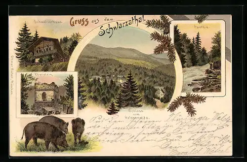 Lithographie Schwarza, Schweizerhaus, Schloss vom Helenensitz, Eberstein