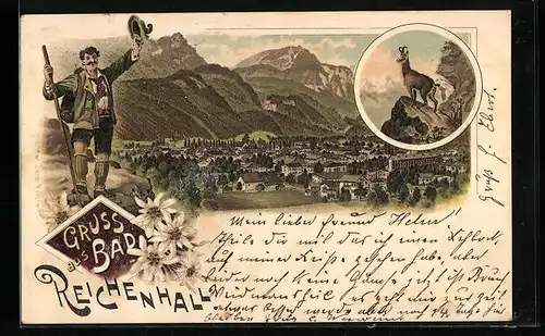 Lithographie Bad Reichenhall, Gesamtansicht, Gämse