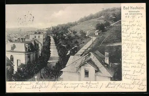 AK Bad Nauheim, Waldstrasse mit Johannisberg