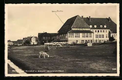 AK Norddorf a. Amrum, Ambronen-Haus