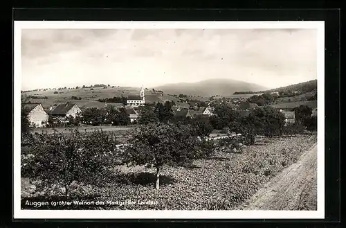 AK Auggen, Panorama mit Feldweg