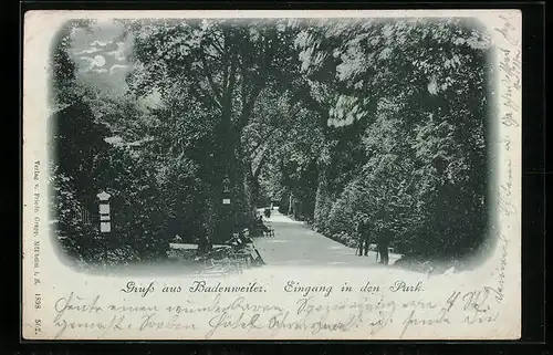 Mondschein-AK Badenweiler, Eingang in den Park