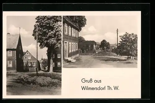 AK Willmersdorf / Th. W., Ortspartie, Strassenpartie