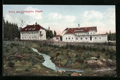 AK Carolagrün /Erzgeb., Ortspartie