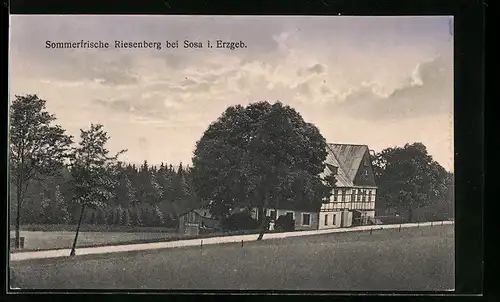 AK Sosa /Erzgeb., Gasthaus Riesenberg