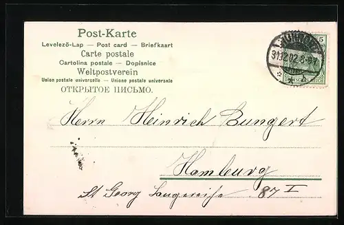 AK Blaue Blüten rahmen die Jahreszahl 1903 ein, Herzlichen Glückwunsch zum neuen Jahre