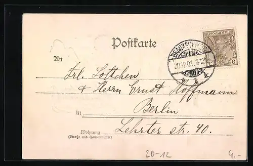 AK Glückwunsch zum neuen Jahr, Zweige, Blüten und goldene Jahreszahl 1902