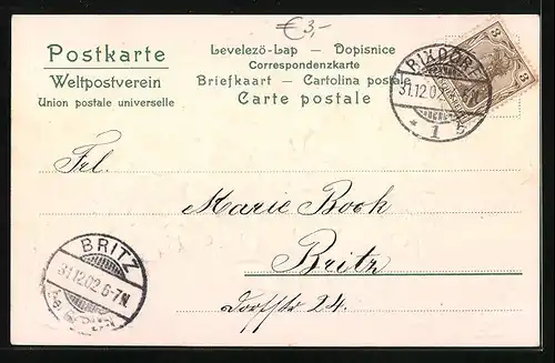 AK Jahreszahl 1903 aus Veilchen, Prosit Neujahr