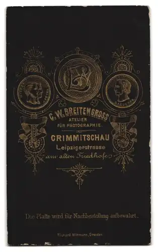 Fotografie C. W. Breitengross, Crimmitschau, Leipzigerstrasse, Junge Dame mit Kragenbrosche und Halskette