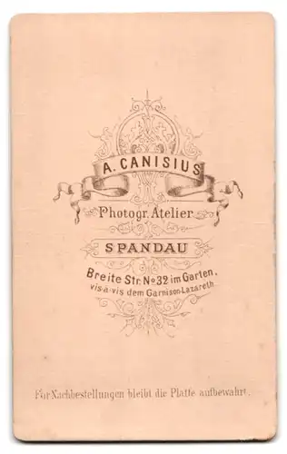 Fotografie A. Canisius, Berlin-Spandau, Breite St. 32, Eleganter Herr mit Schnauzbart