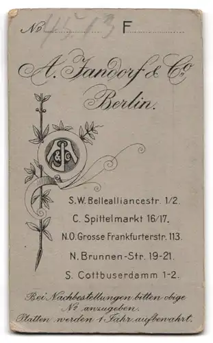 Fotografie A. Jandorf & Co., Berlin, Bellealliancestr. 1-2, Spittelmarkt 16-17, Älterer Herr im Anzug mit Schnauzbart