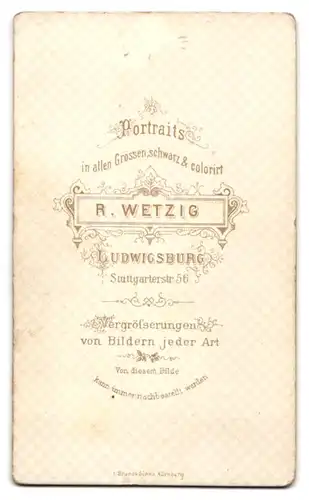 Fotografie R. Wetzig, Ludwigsburg, Stuttgarterstrasse 56, Dame mit Flechtfrisur und vollbärtiger Herr im Gehrock