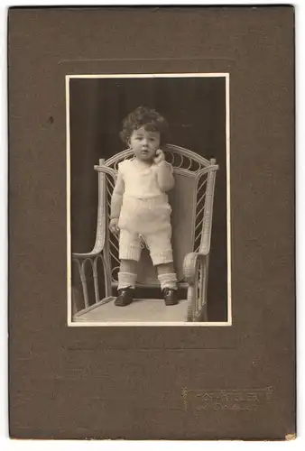 Fotografie van Daalen, Gmünd, niedlicher Knabe Willy Hermann mit Lockenkopf im alter von 1 Jahr