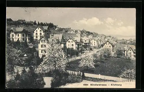 AK Kilchberg, Böndlerstrasse bei Baumblüte