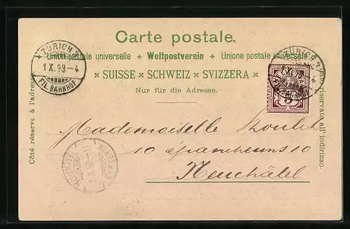 Lithographie Zürich, Gesamtansicht, Uferpartie mit Brücke