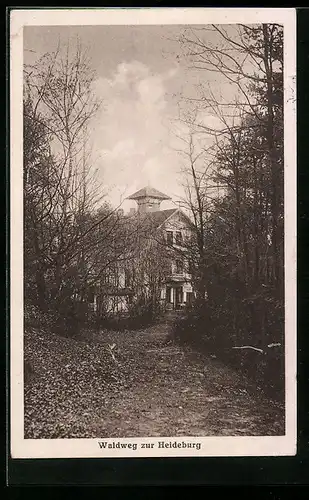 AK Hamburg-Wilhelmsburg, Waldweg zur Heideburg