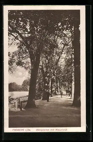 AK Freiberg i. Sa., Königsallee mit Kreuzteich